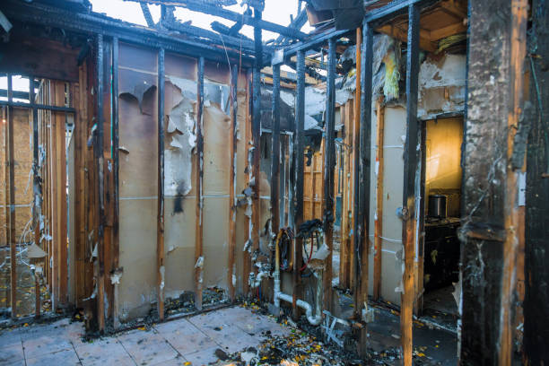 Professional Smoke Damage Removal technician working in Henderson, LA
